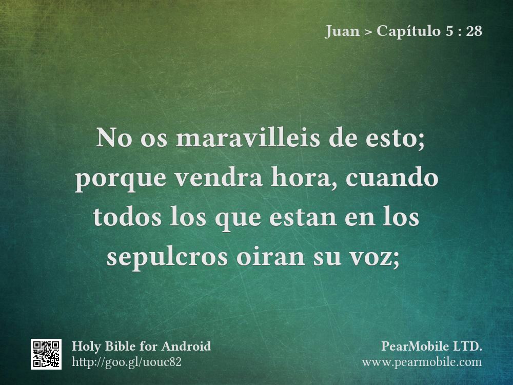 Juan, Capítulo 5:28